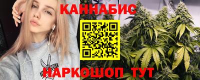 стаф Владимир